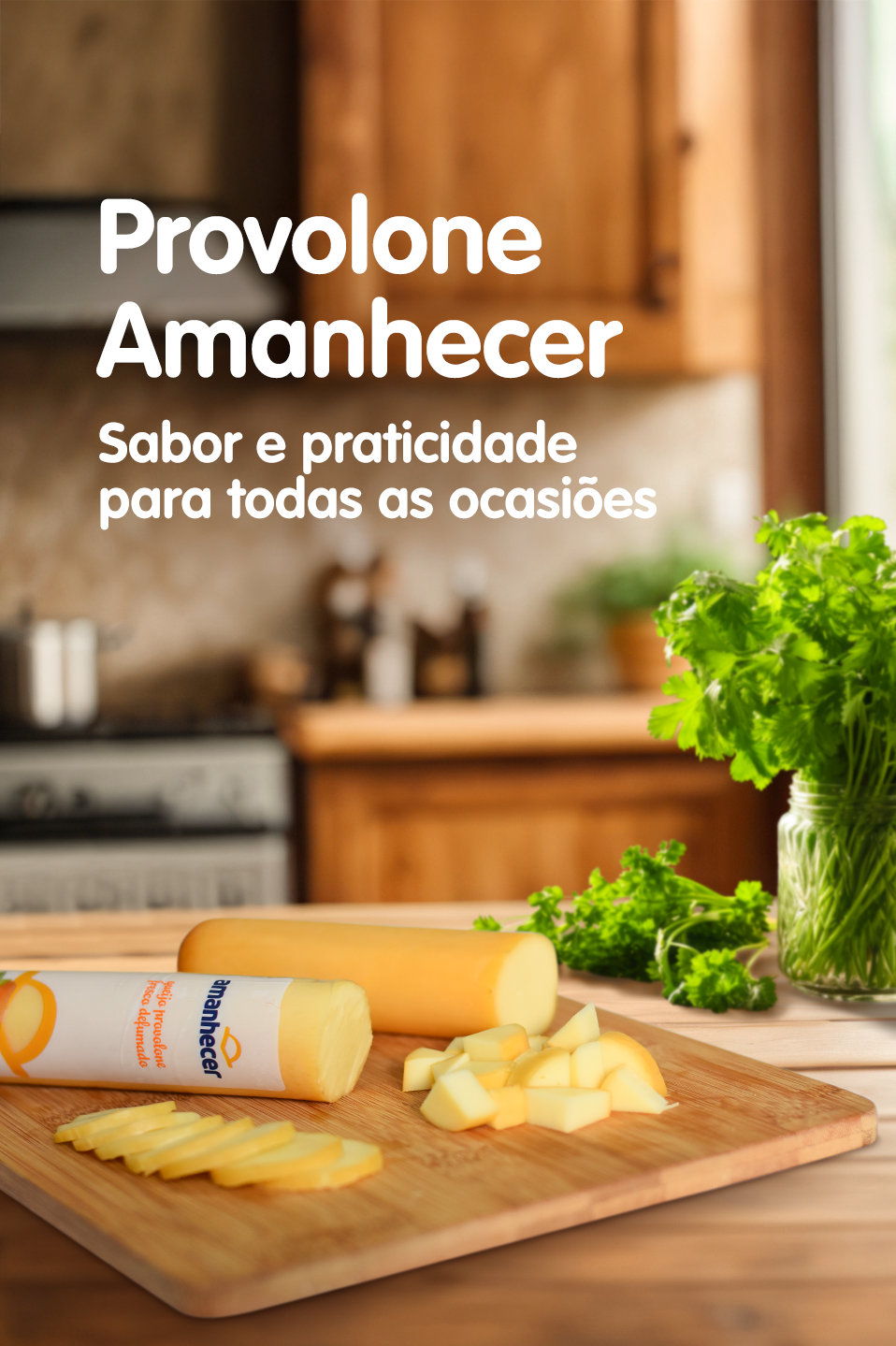 BANNER-SITE-HOME-PROVOLONE-MOBILE