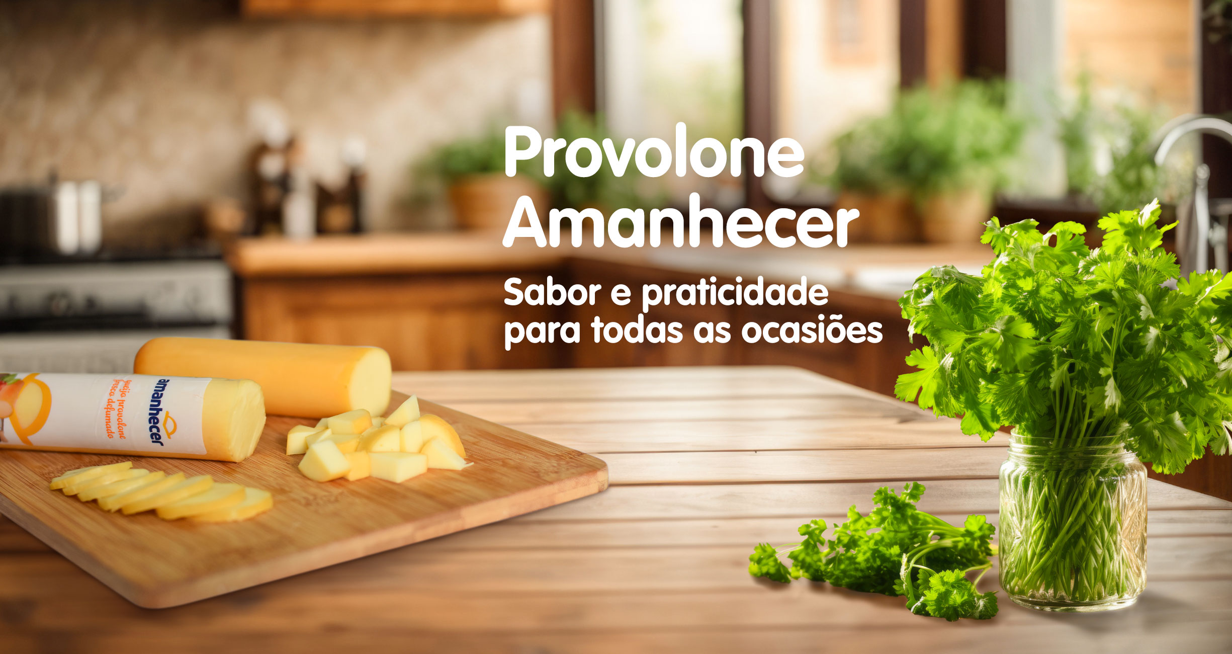 BANNER-SITE-HOME-PROVOLONE